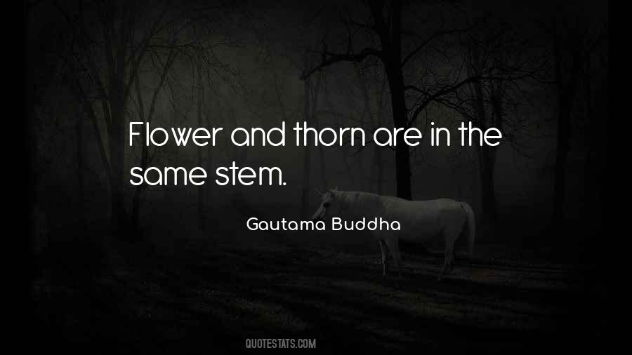 Flower And Thorn Quotes #1640282