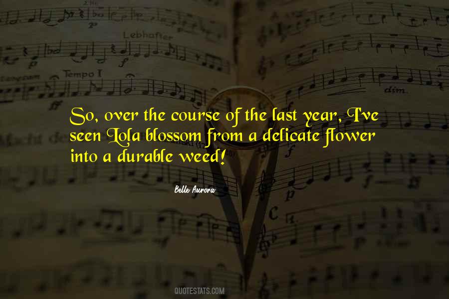 Flower Blossom Quotes #436227