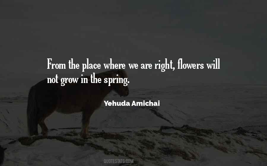 Flower Grows Quotes #1388846