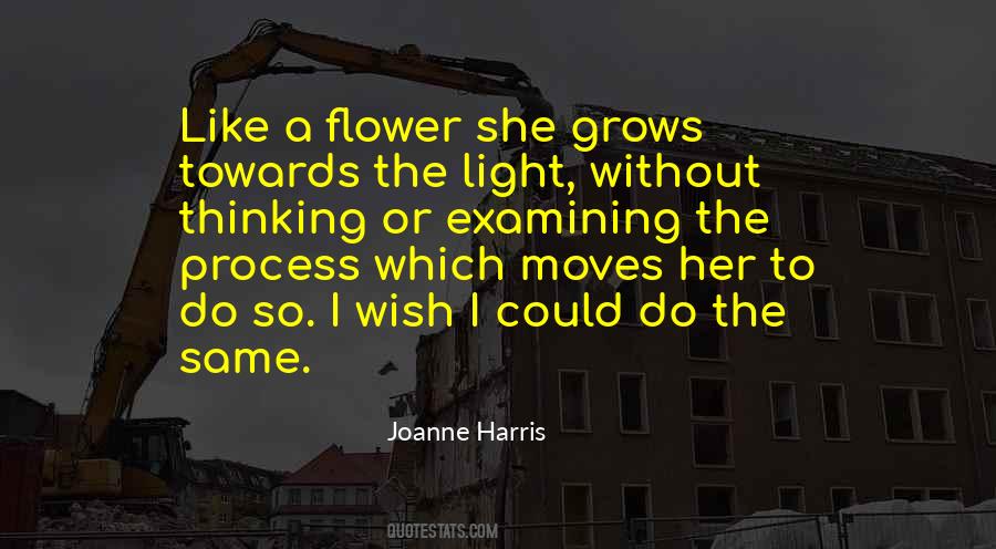 Flower Grows Quotes #76341