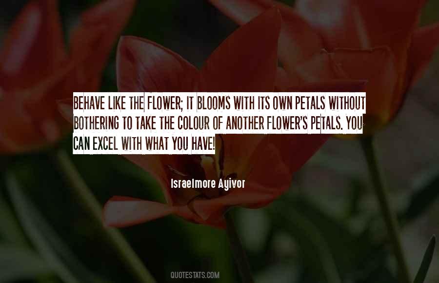 Flower Petal Quotes #1015461
