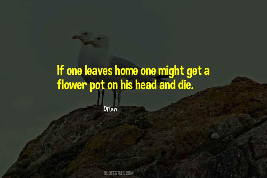 Flower Pot Quotes #1438546