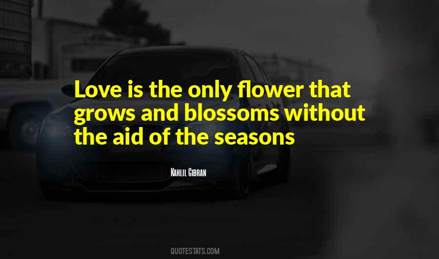 Flower Pot Quotes #23150