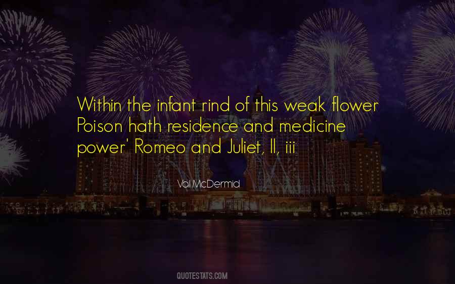 Flower Pot Quotes #28546