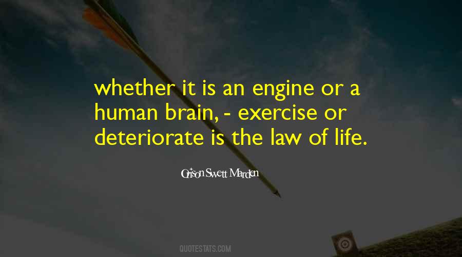Brain Exercise Quotes #1202232