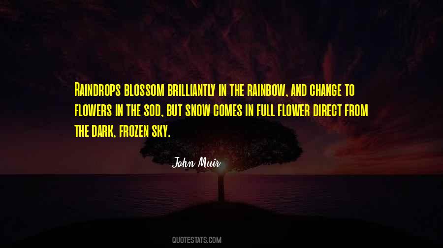 Flowers And Raindrops Quotes #1311299