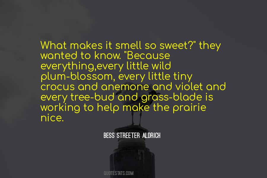 Flowers Smell Quotes #1245168