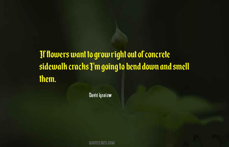 Flowers Smell Quotes #1620180