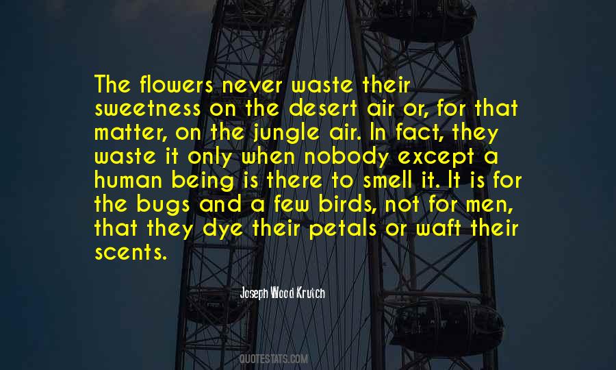 Flowers Smell Quotes #204734