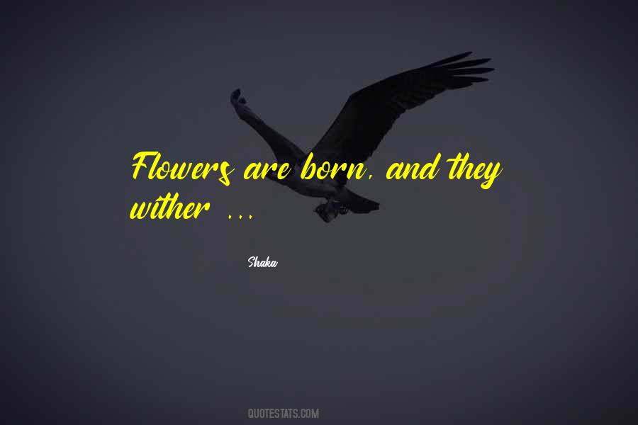 Flowers Wither Quotes #1349529