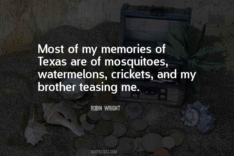 Memories Brother Quotes #142752