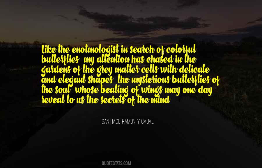 Soul Of A Butterfly Quotes #1830876
