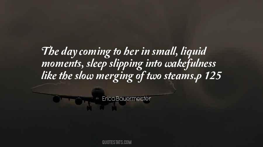 The Small Moments Quotes #1363300