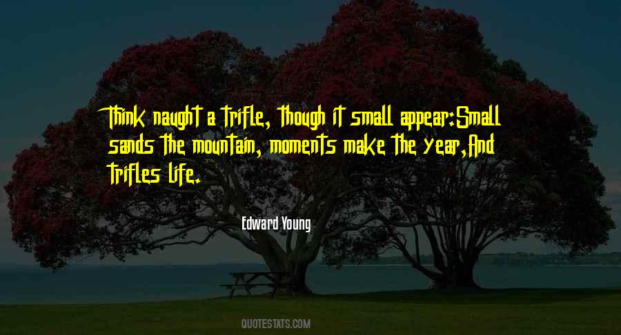 The Small Moments Quotes #939453