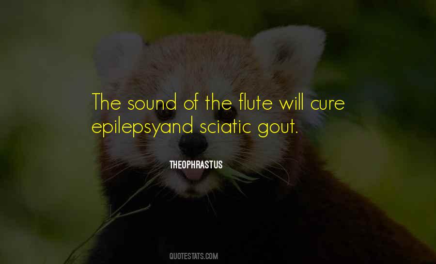 Flute Quotes #494563