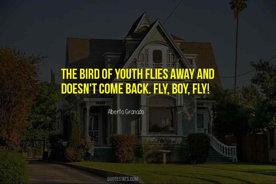 Fly Back Quotes #978118