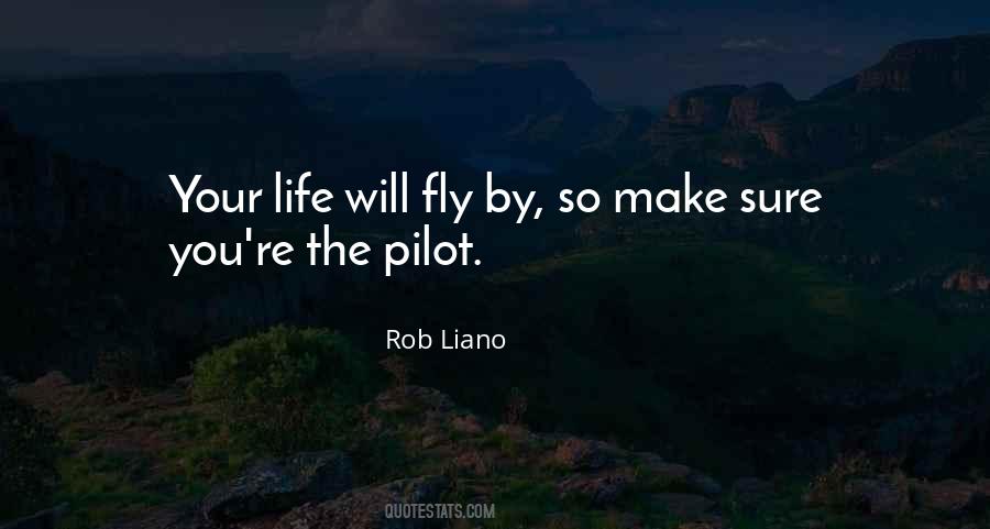 Fly By Quotes #1114517