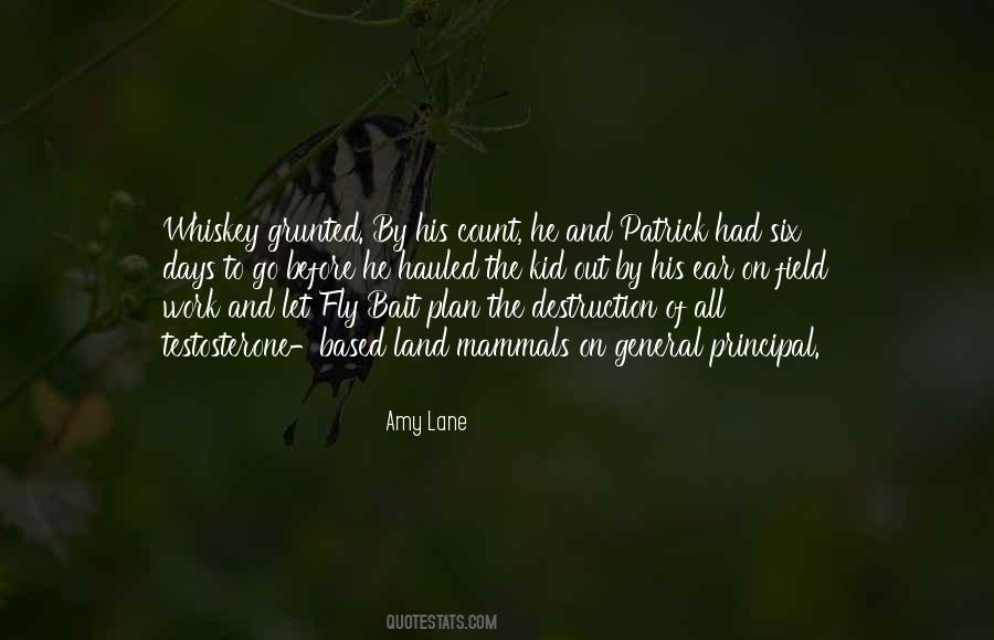 Fly By Quotes #291281