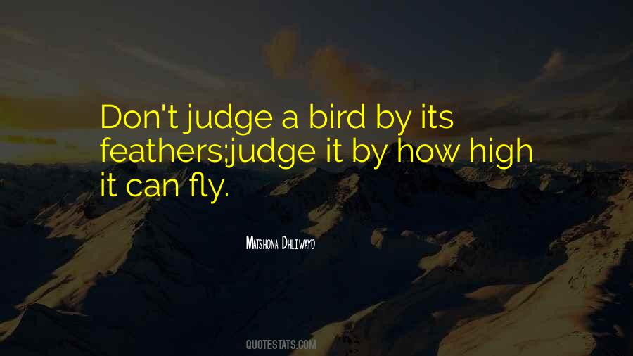 Fly By Quotes #81252