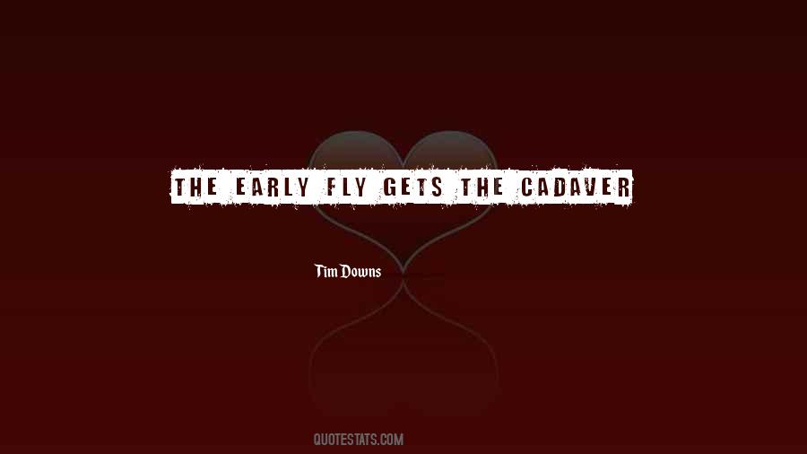 Fly Insect Quotes #275434