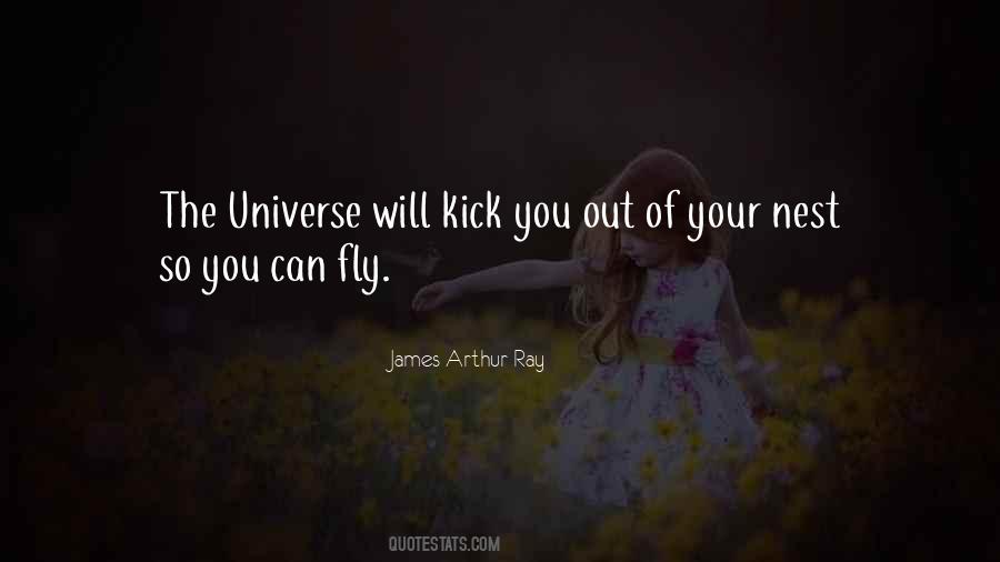 Fly Kicks Quotes #92730