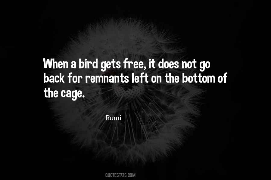 Fly Like A Free Bird Quotes #737171