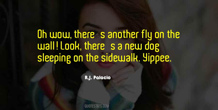 Fly On The Wall Quotes #216197
