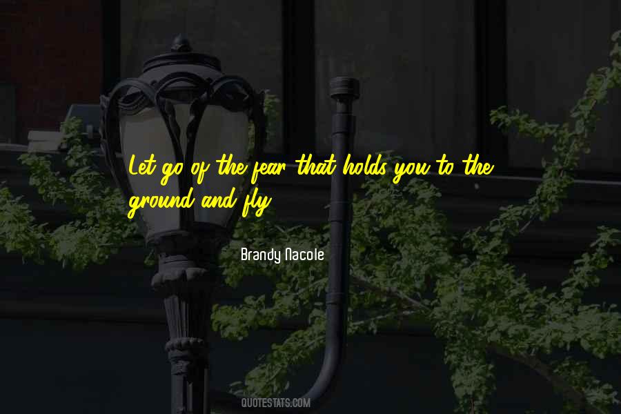 Fly Quotes #1856751