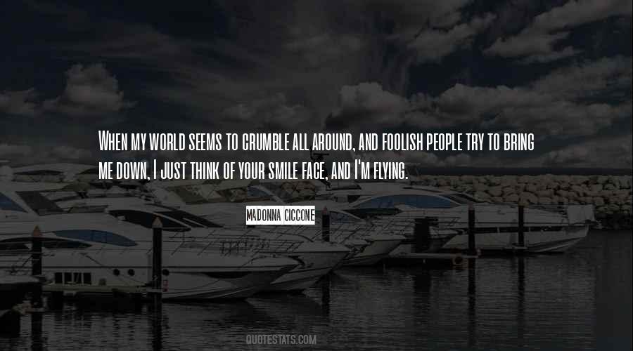 Flying Around The World Quotes #342544