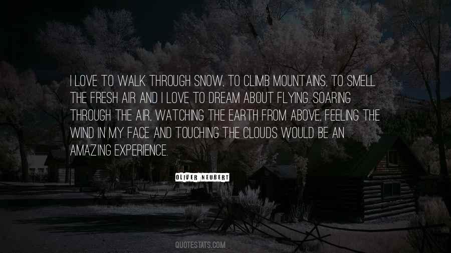 Flying Over The Clouds Quotes #1653056
