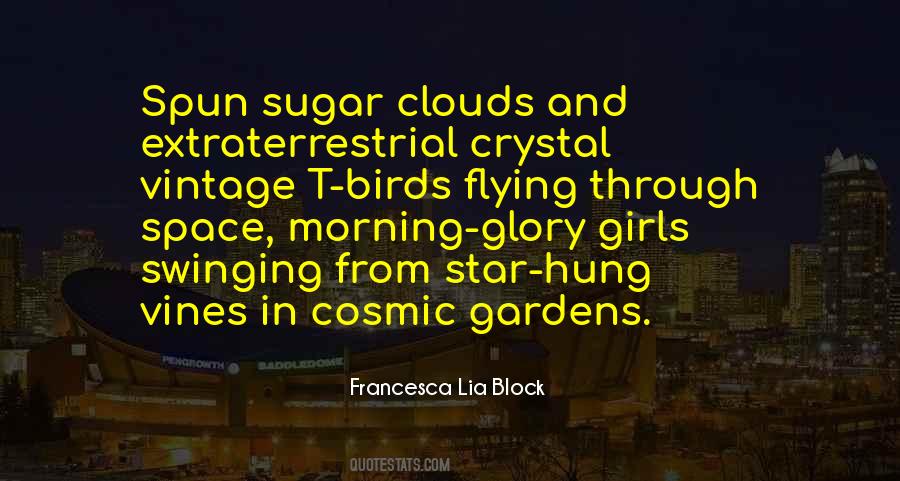 Flying Over The Clouds Quotes #35955