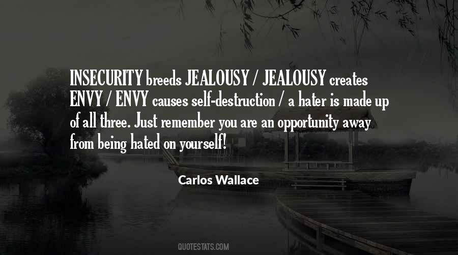 Jealousy Hater Quotes #735089