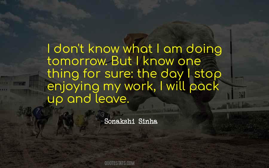 I Know What I Am Doing Quotes #1031761