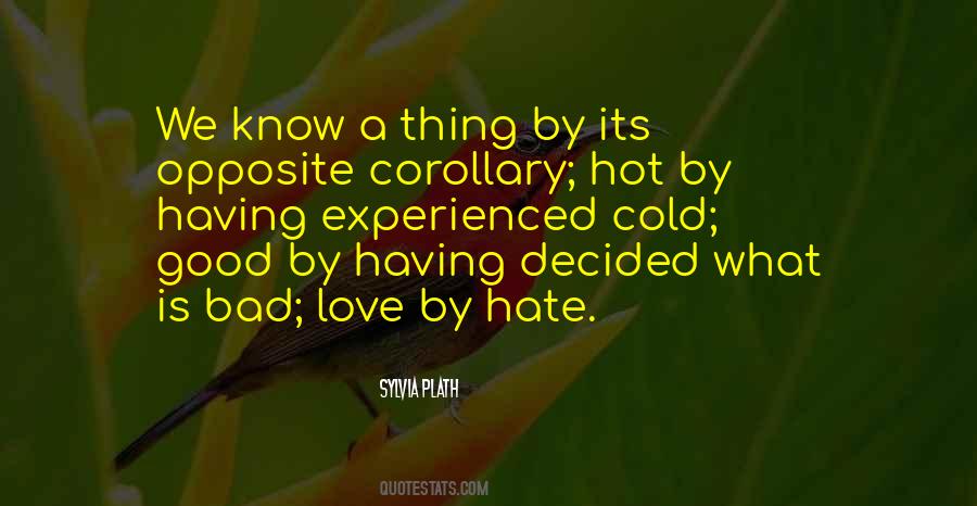 Hate Is Good Quotes #1759255