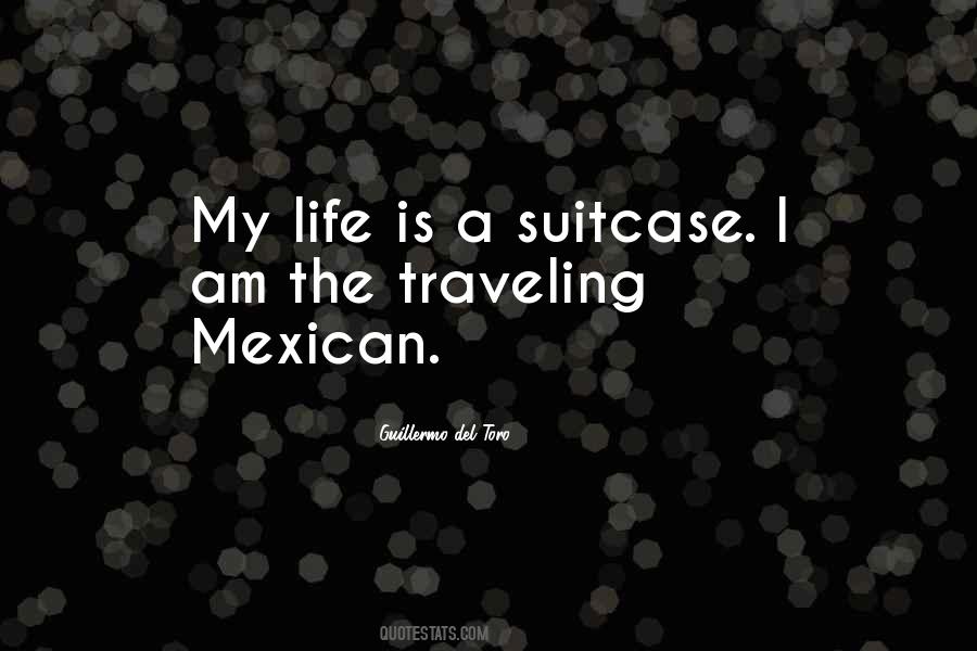 I Am Traveling Quotes #982709