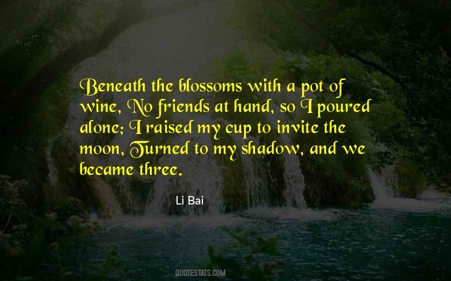 Shadow Friends Quotes #1232086