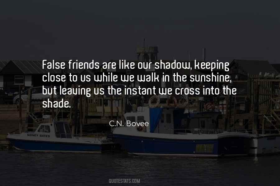 Shadow Friends Quotes #255479