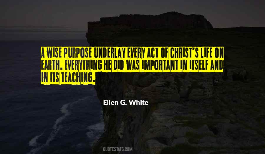 Quotes About Purpose In Everything #1451602