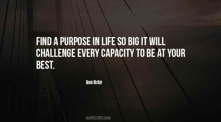 Life Is A Big Challenge Quotes #427329