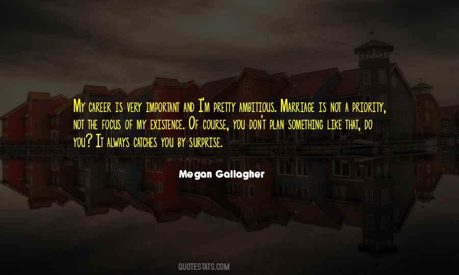 Focus On My Career Quotes #262549