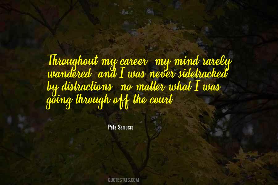 Focus On My Career Quotes #45773