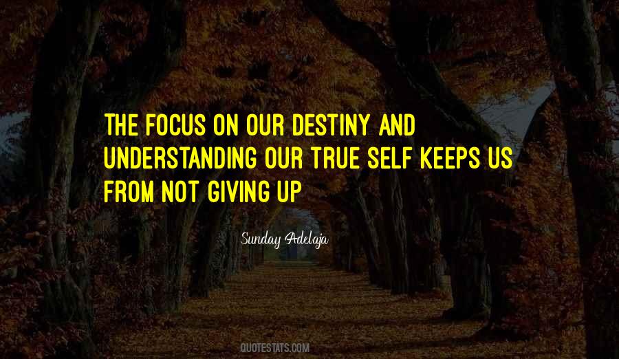 Focus On Self Quotes #610066