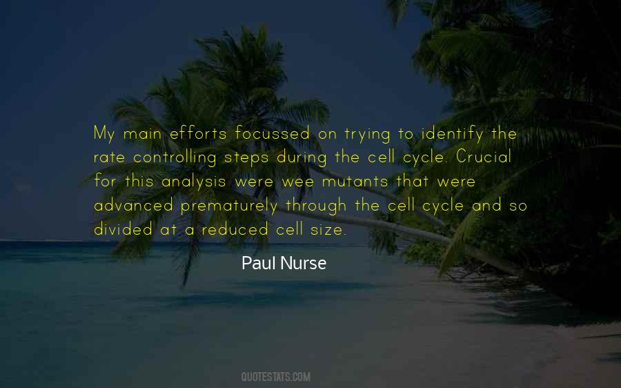 Focussed Quotes #1184764