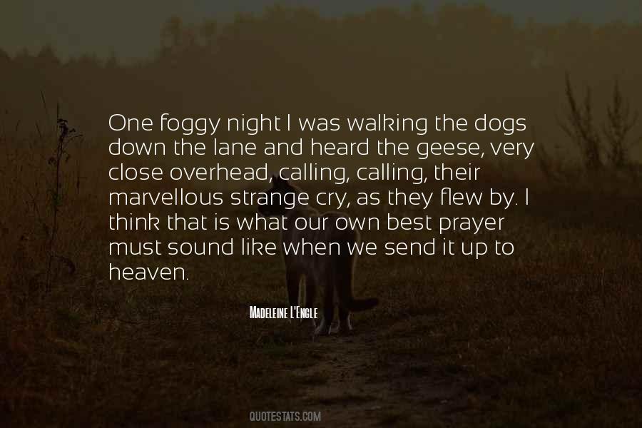 Foggy Night Quotes #229514
