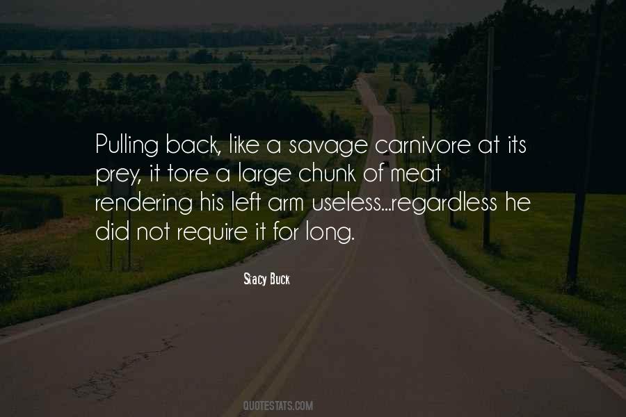 Long Adventure Quotes #1656490