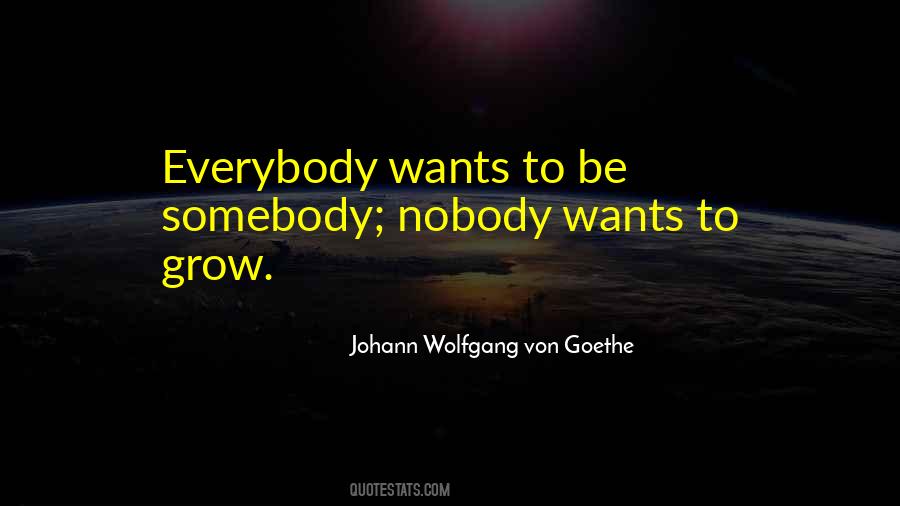 Wolfgang Von Goethe Quotes #42950