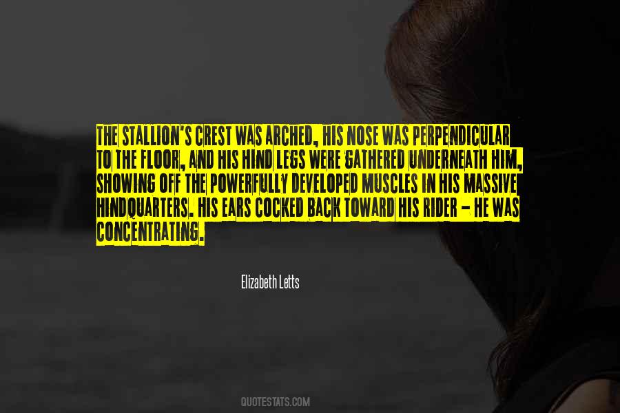 Dressage Rider Quotes #1748354