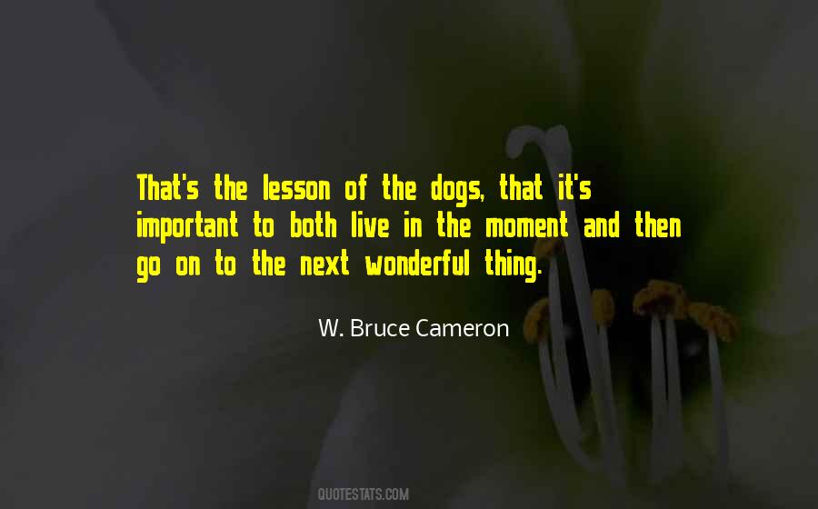 Follow The Herd Quotes #492746