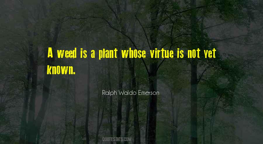A Weed Is A Plant Quotes #1354737