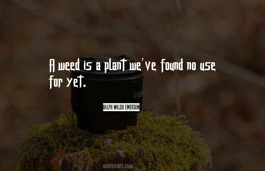 A Weed Is A Plant Quotes #1729542